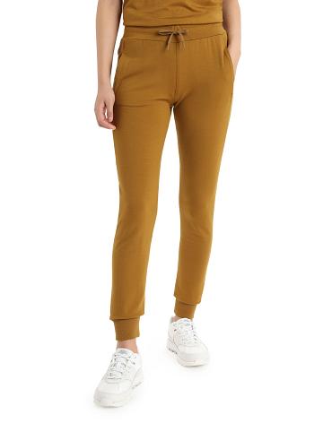 Women's Icebreaker Merino Crush Pants Clove | CA 1428KORI